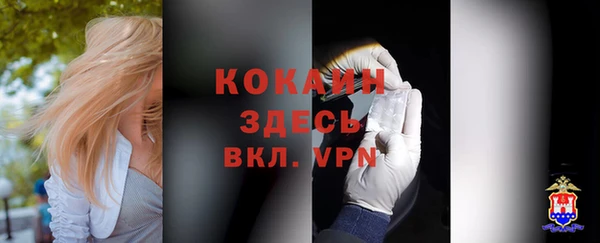 дживик Вяземский