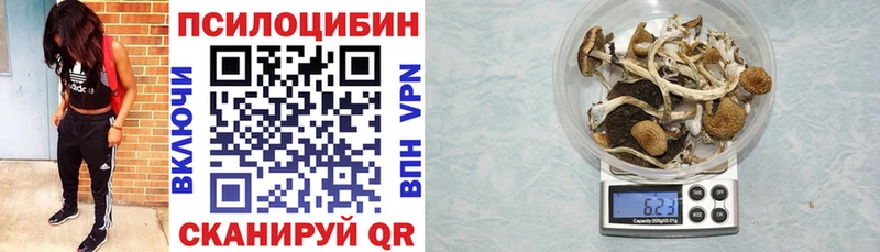 Галлюциногенные грибы Psilocybe  Ермолино 